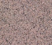 Close-up of poppy seeds surface texture