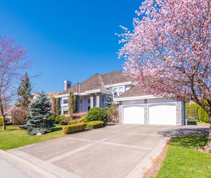 Modern suburban house with flowering trees